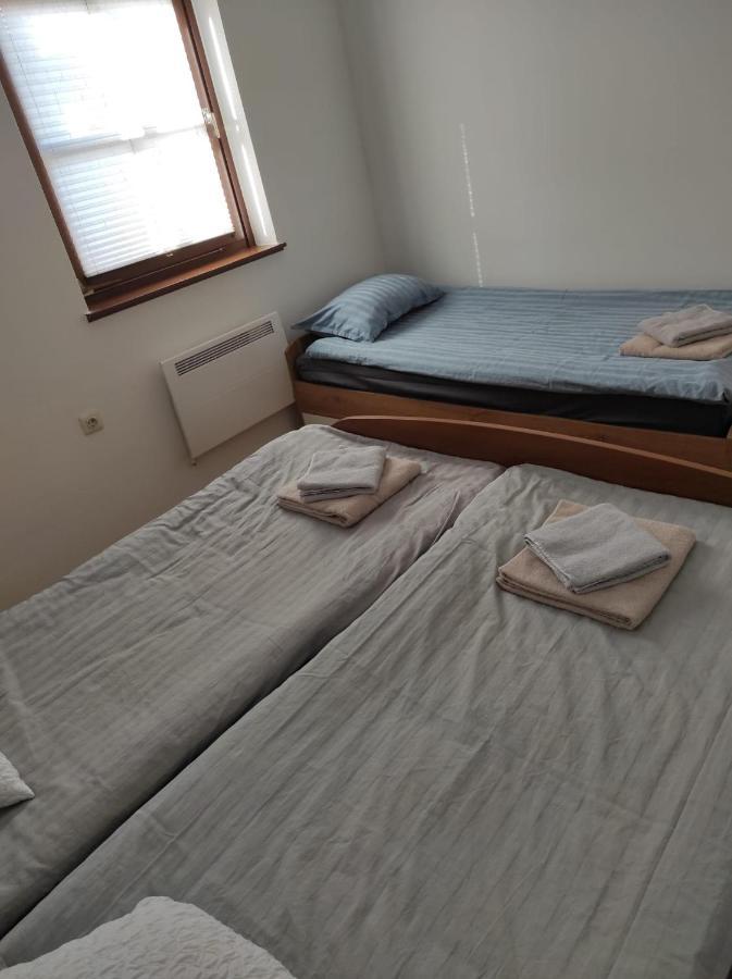 Apartma Ziva Hiska 92 Lejlighed Catez ob Savi Eksteriør billede